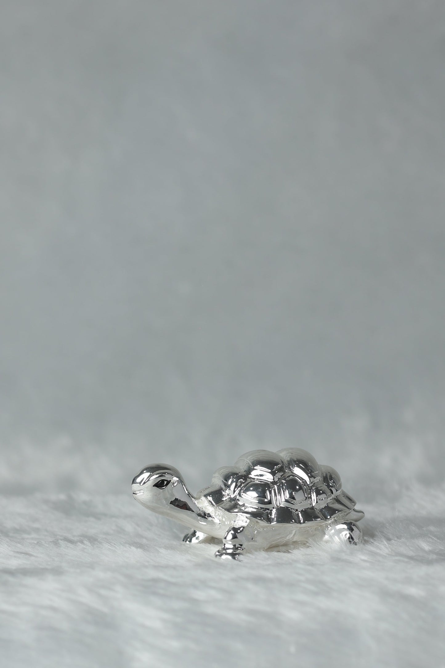 Silver Plated Tortoise