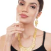 1Gm Gold Rani Haar Necklace and Earring Set