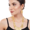 1Gm Gold Rani Haar Necklace and Earring Set