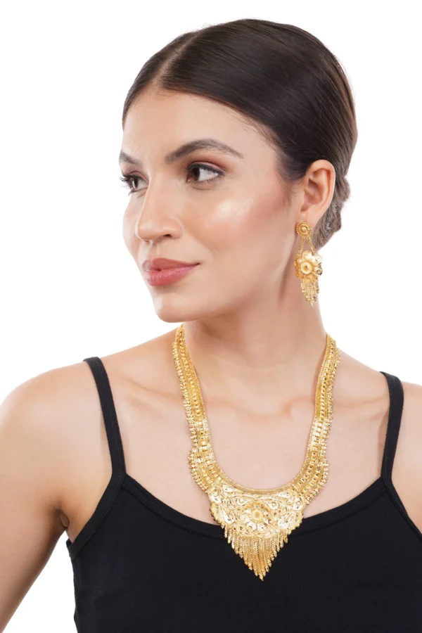 1Gm Gold Rani Haar Necklace and Earring Set