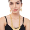 1Gm Gold Rani Haar Necklace and Earring Set