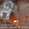 Cat Dancing Ball