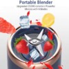 mini juicer