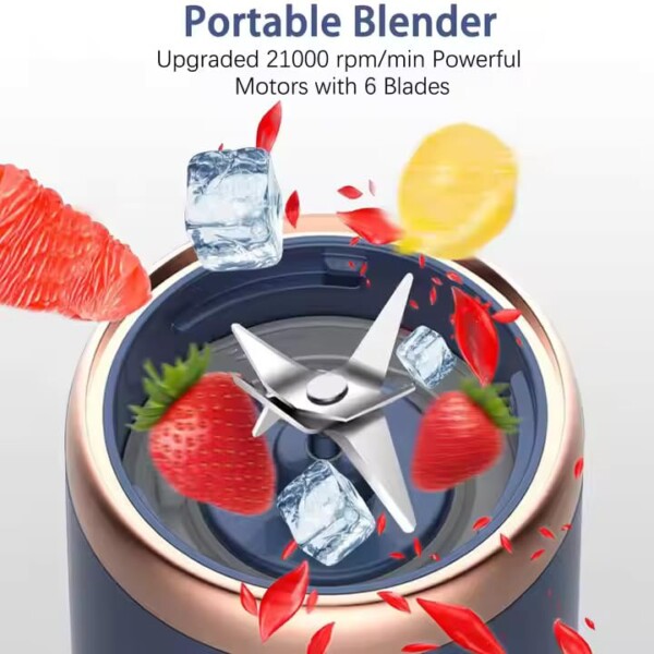 mini juicer